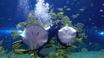 20200720/5f14f421c6f73.gif 微信图片_20200720093210.gif